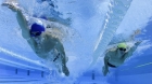 european_swimming.jpg