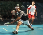 squash2.jpg