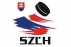 SZLH_logo.jpg